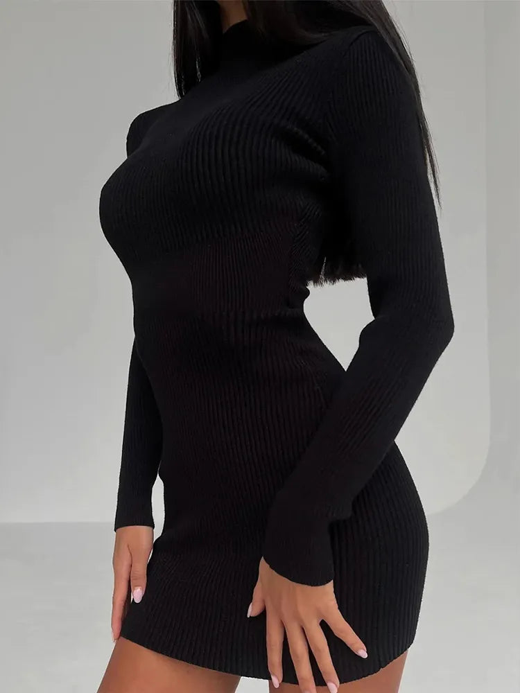 Turtleneck Sweater Dress